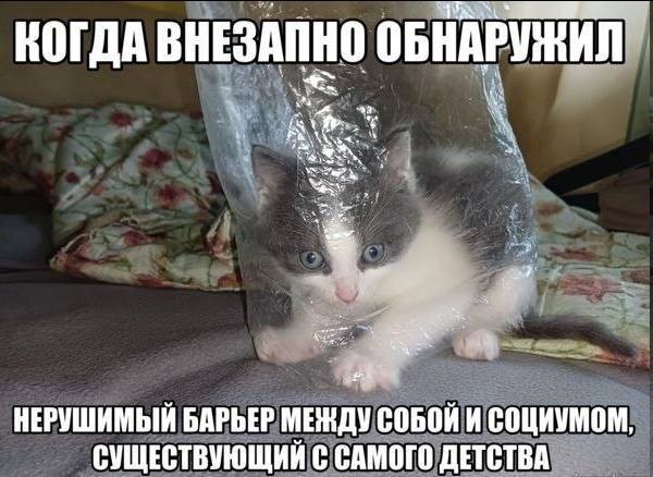 ВОГДА ВНЕЗАПНО ОБНАРУЖИЛ НЕРУШИМЫЙ БАРЬЕР МЕЖДУ СОБОЙ И СОЦИУМОМ, СУЩЕСТВУЮЩИЙ С САМОГО ДЕТСТВА
