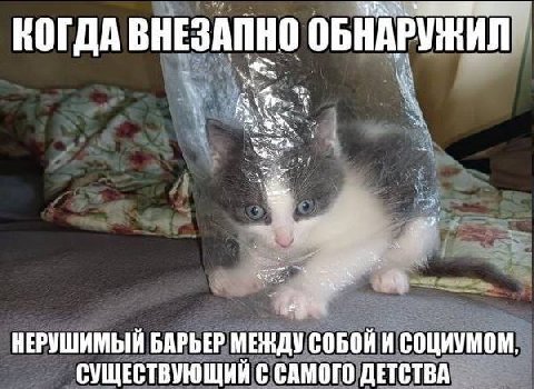 ВОГДА ВНЕЗАПНО ОБНАРУЖИЛ НЕРУШИМЫЙ БАРЬЕР МЕЖДУ СОБОЙ И СОЦИУМОМ, СУЩЕСТВУЮЩИЙ С САМОГО ДЕТСТВА