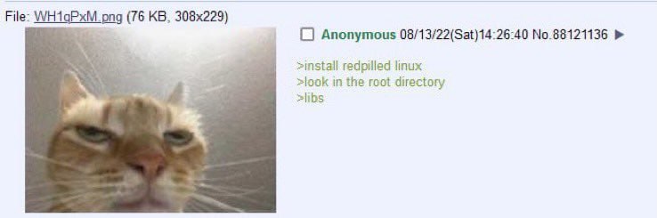 File: (76 Anonymous 08/13/22(Sat)14:26-40 No.88121136 >install redpilled linux >look in the root directory >libs