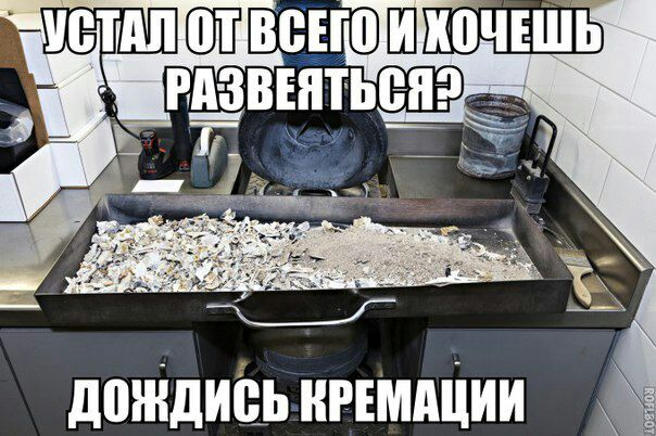 КОЧЕШЬ ASE EATD Cal Me 5” i КРЕМАЦИИ