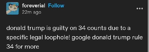 55 foreverial Follow адо donald trump is guilty 34 counts due toa specific legal loophole! google donald trump rule 34 for more