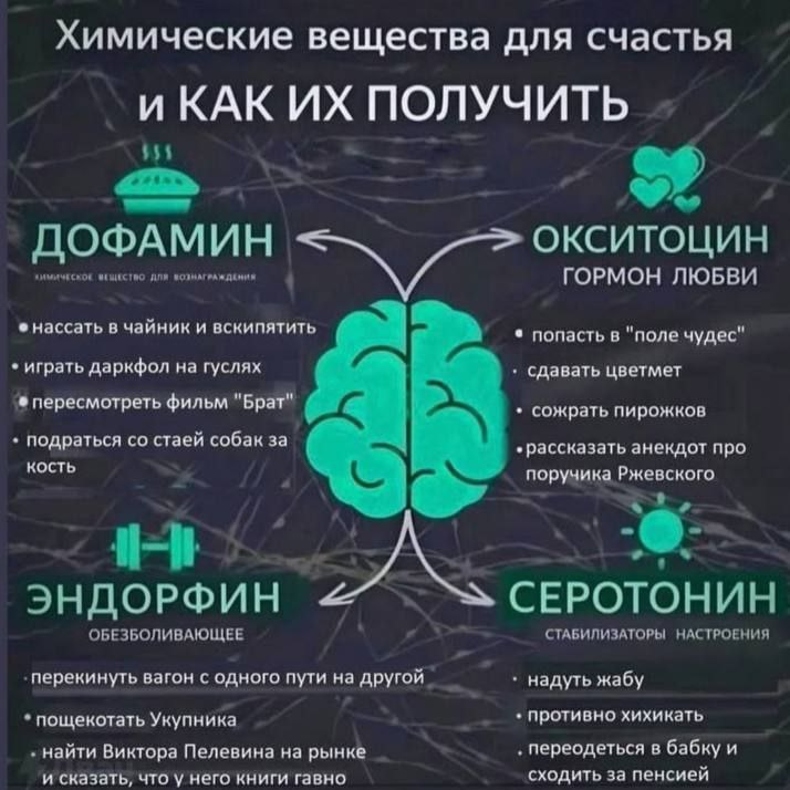 Химические вещества для счастья ПОЛУЧИТЬ $54 ОКСИТОЦИН ДОФАМИН ГОРМОН ЛЮБВИ нассать в чайник и вскипятить попасть в "поле чудес" играть даркфол на гуслях сдавать цветмет пересмотреть фильм "Брат" сожр