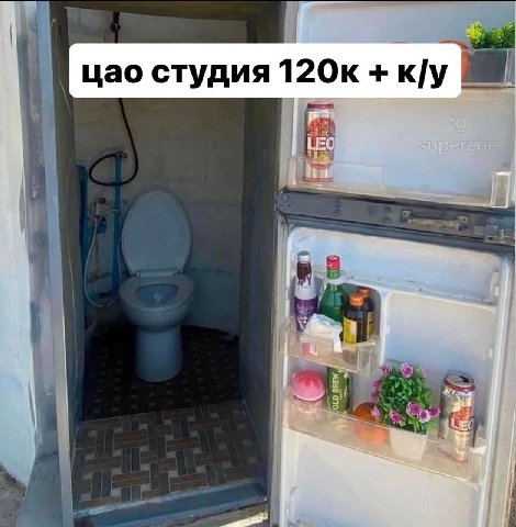 цао студия 12 LEO.