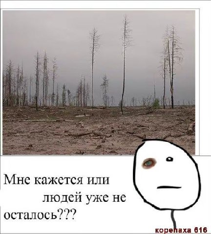 Мне кажется или людей уже не осталось??? корейаха 616