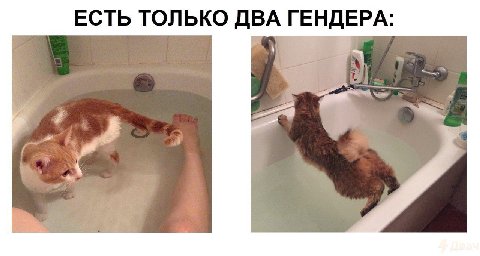 ЕСТЬ ТОЛЬКО ДВА ГЕНДЕРА: