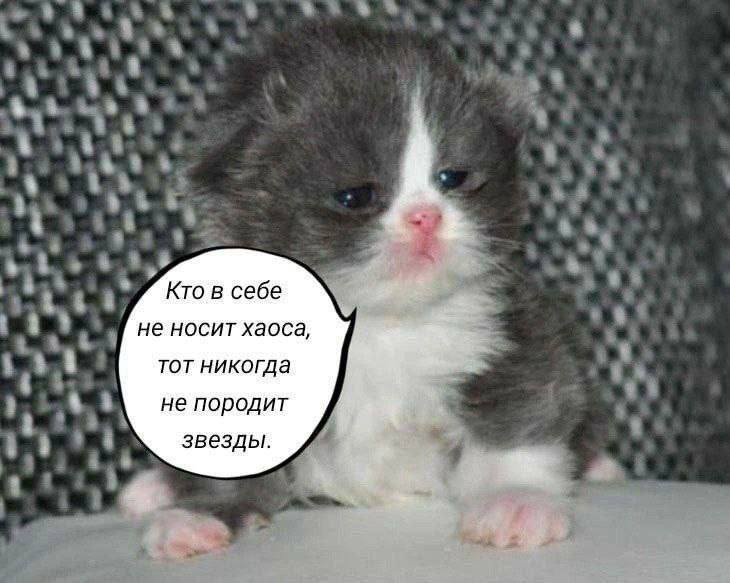 Кто в себе не носит хаоса, тот никогда не породит звезды.