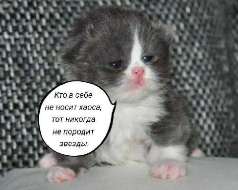 Кто в себе не носит хаоса, тот никогда не породит звезды.