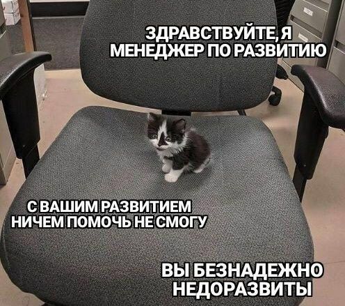 ЗДРАВСТВУЙТЕ, Я МЕНЕДЖЕР ПО РАЗВИТИЮ СВАШИМ РАЗВИТИЕМ НИЧЕМ ПОМОЧЬ НЕ СМОГУ ВЫ БЕЗНАДЕЖНО НЕДОРАЗВИТЫ