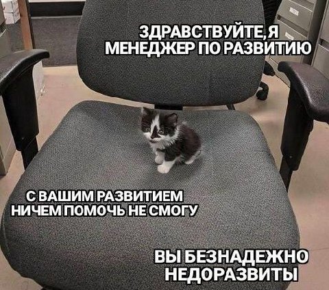 ЗДРАВСТВУЙТЕ, Я МЕНЕДЖЕР ПО РАЗВИТИЮ СВАШИМ РАЗВИТИЕМ НИЧЕМ ПОМОЧЬ НЕ СМОГУ ВЫ БЕЗНАДЕЖНО НЕДОРАЗВИТЫ