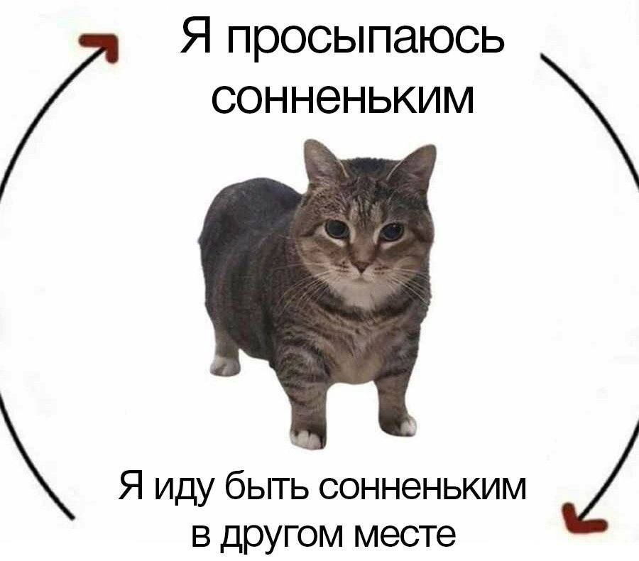 Я просыпаюсь сонненьким Я иду быть сонненьким в другом месте