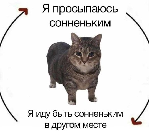 Я просыпаюсь сонненьким Я иду быть сонненьким в другом месте