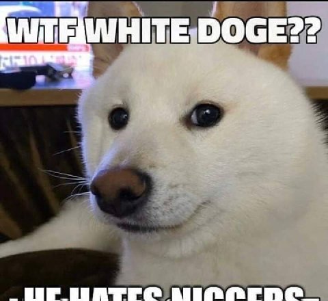 WHI DOGE