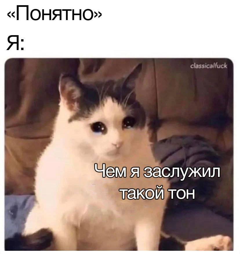 «Понятно» аслужил