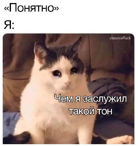 «Понятно» аслужил