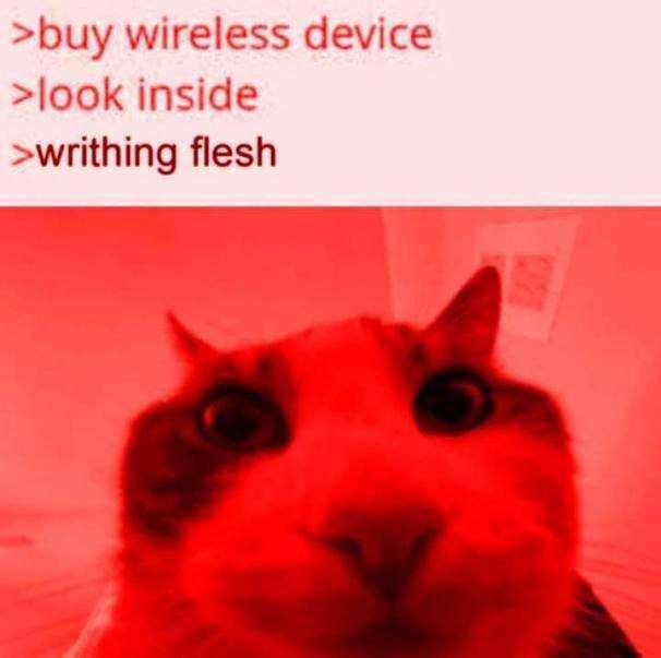 >buy wireless device >look inside >writhing flesh