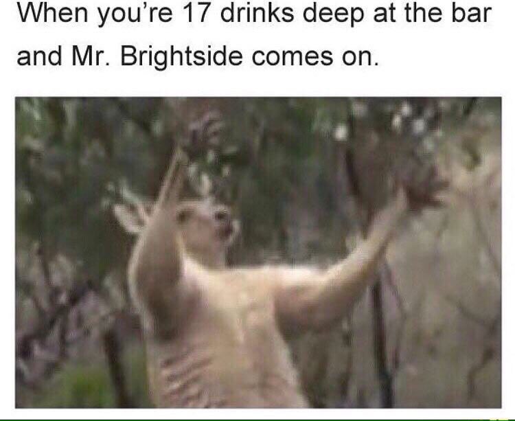 When you're 17 drinks deep at the bar and Brightside comes on.
