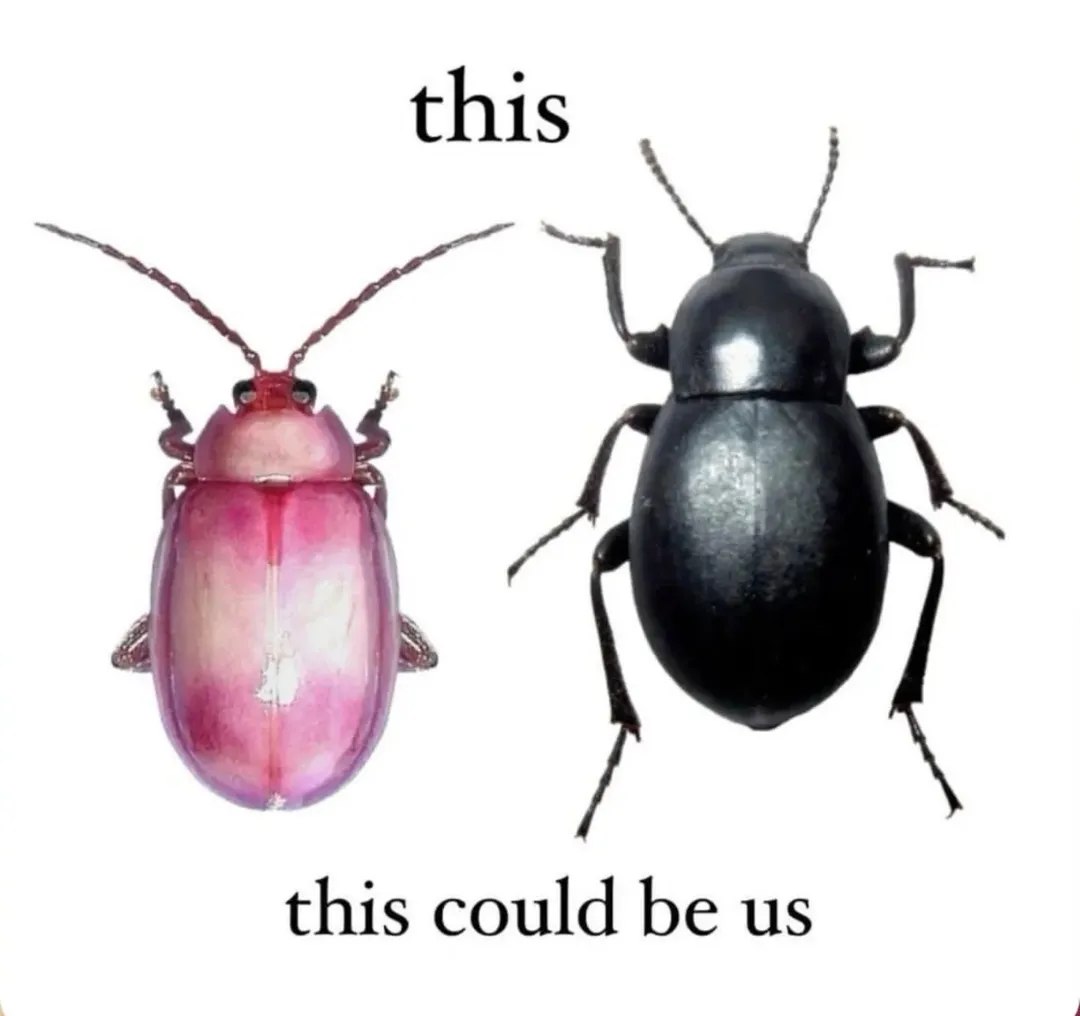 this this could be