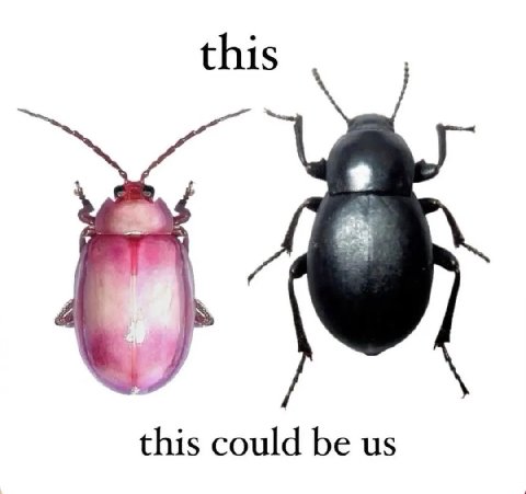this this could be