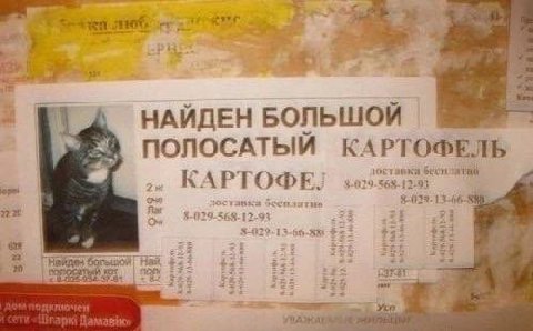 4 4 НАЙДЕН БОЛЬШОЙ ПОЛОСАТЫЙ КАРТОФЕЛЬ КАРТОФЕ. 12.90% 13-66 $3 ГНайдер 2