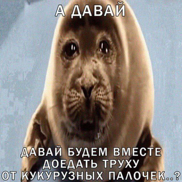 A AABAW МАВАИ БУДЕМ ВМЕСТЕ ДОЕДАТЬ ТРУХУ от КУКУРУЗНЫХ ПАЛОЧЕК