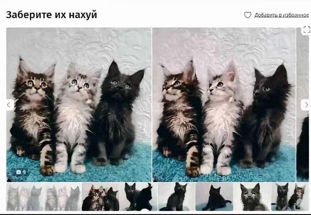 добавить в избранное Заберите нахуй 5% A