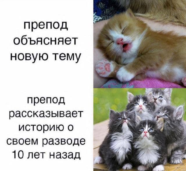 препод объясняет новую тему препод рассказывает историю о своем разводе 10 лет назад