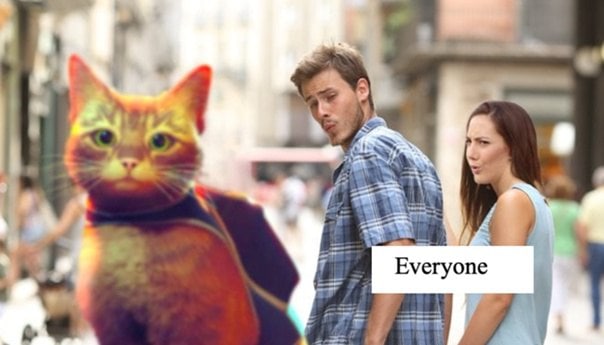 Everyone