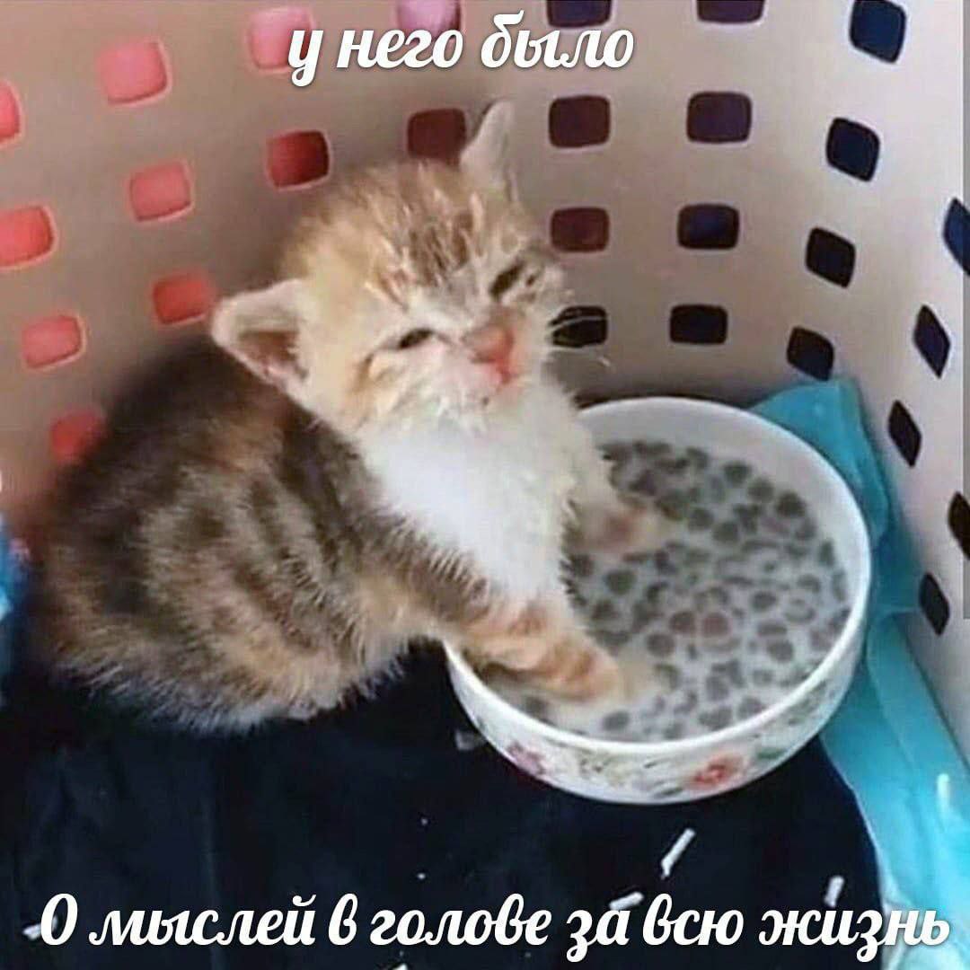у него было лияслей 6 за всю жизнь,