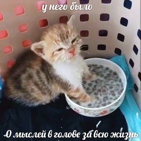у него было лияслей 6 за всю жизнь,