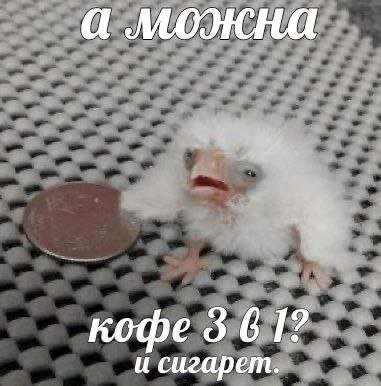 а можна кофе 3 61? и сигарет.