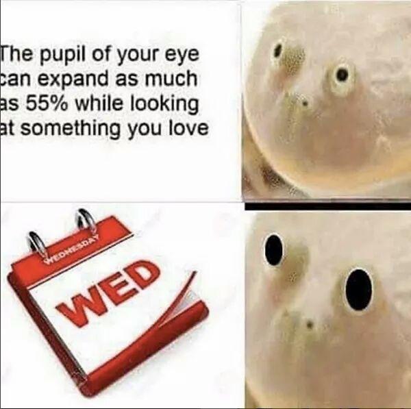 pupil of your eye expand as much 55% while looking something you love