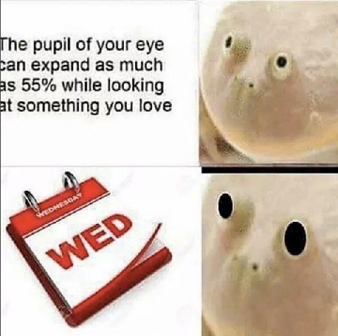 pupil of your eye expand as much 55% while looking something you love
