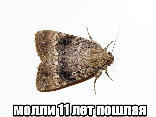 4’