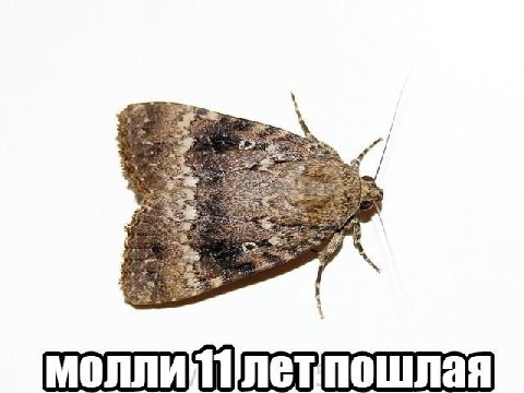 4’