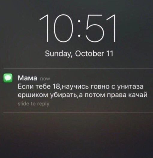 Sunday, October 11 Mama Если тебе 18,научись говно с унитаза ершиком убирать‚а потом права качай