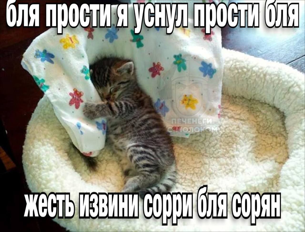 ЭЛЯ Про