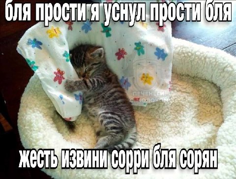 ЭЛЯ Про