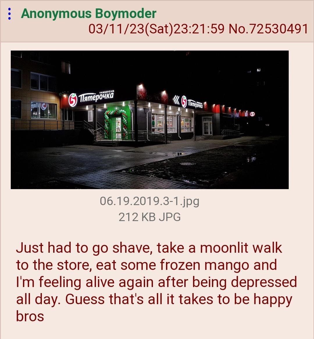 Anonymous Boymoder 03/11/23(Sat)23:21:59 No.72530491 06.19.2019.3-1.jpg 212 JPG Just had to shave, take a moonlit walk to the store, eat some frozen mango and feeling alive again after being depressed