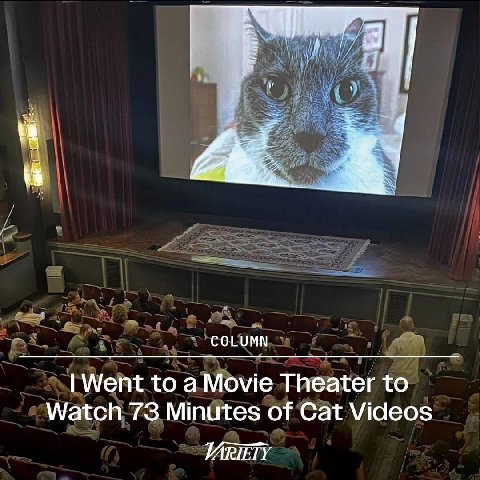 COLUMN Went to a Movie Theater to Watch 73 Minutes of Cat Videos VARIETY