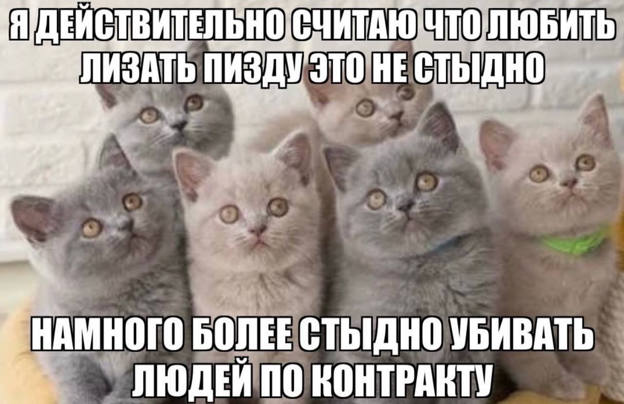 Я]ДЕЙСТВИТЕЛЬНО НЕ БОЛЕЕ СТЫДНО УБИВАТЬ ЛЮДЕЙ ПО КОНТРАКТУ