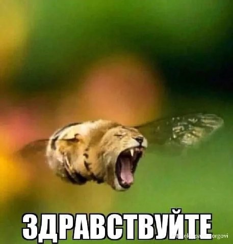 обстановка на ближнем востоке