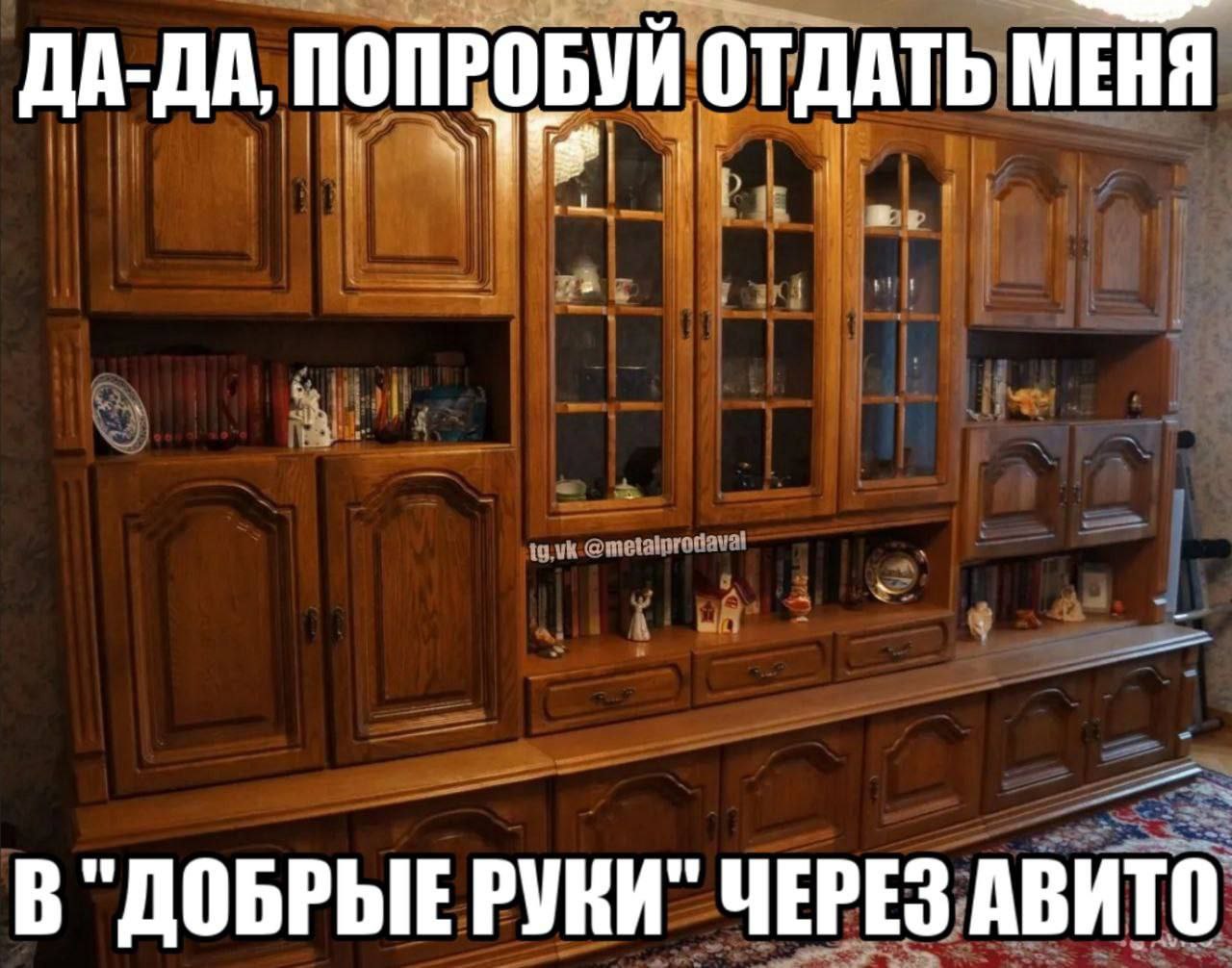 ДА-ДА, ПОПРОБУЙ ОТДАТЬ МЕНЯ В "ДОБРЫЕ РУКИ" ЧЕРЕЗ АВИТО