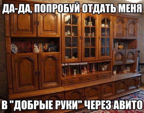 ДА-ДА, ПОПРОБУЙ ОТДАТЬ МЕНЯ В "ДОБРЫЕ РУКИ" ЧЕРЕЗ АВИТО