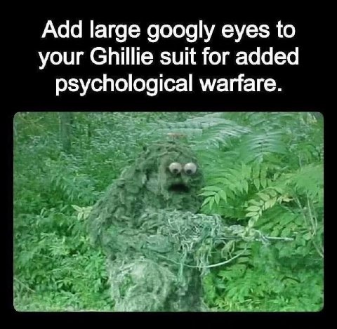 Add large googly eyes to your Ghillie suit for added psychological warfare.