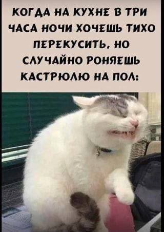 КОГАА НА КУХНЕ В ТРИ ЧАСА НОЧИ ХОЧЕШЬ ТИХО ПЕРЕКУСИТЬ, НО СЛУЧАЙНО РОНЯЕШЬ КАСТРЮЛЮ НА ПОЛ: