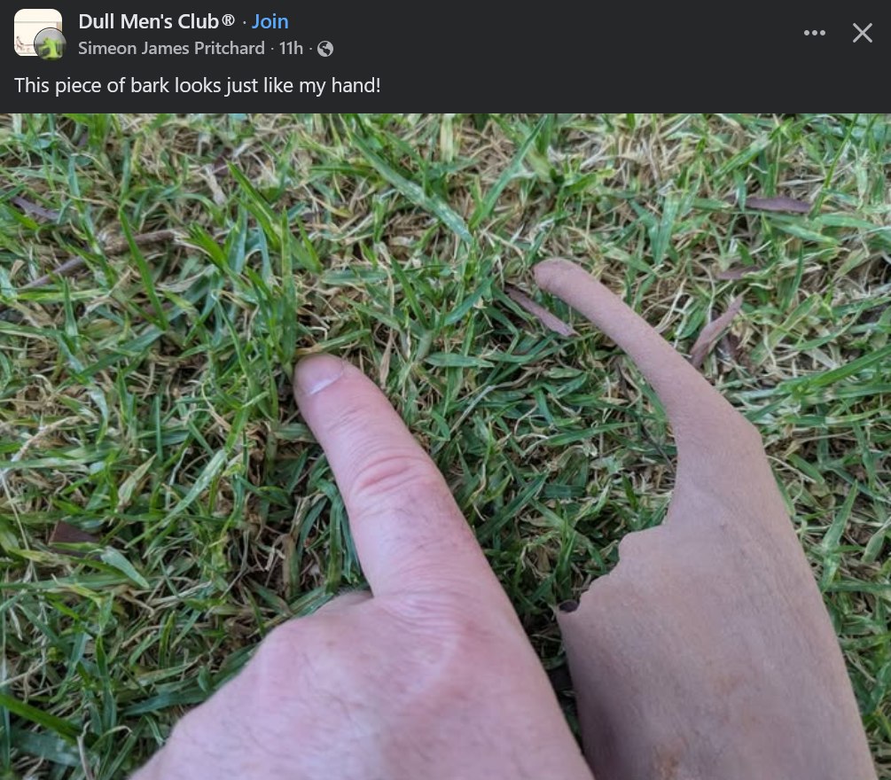 Dull Men's Club® Join Simeon James Pritchard This piece of bark looks just like my hand! 4% К A У ite 75 у и 2 к A A И С 7 с 4 ‘7 Я 4