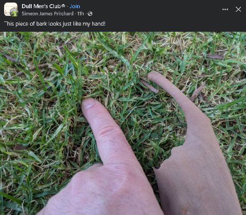 Dull Men's Club® Join Simeon James Pritchard This piece of bark looks just like my hand! 4% К A У ite 75 у и 2 к A A И С 7 с 4 ‘7 Я 4