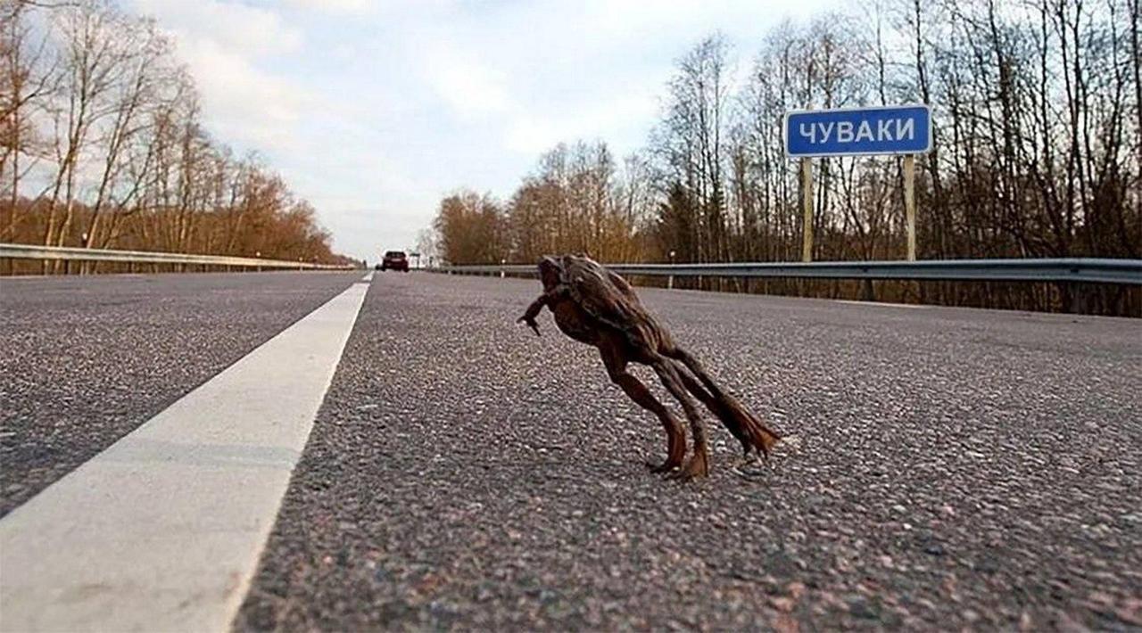 у 2 4 у 3 fet №.73 я 6 7 7 У 1% а и у tly и #4 as he 5 of a 2 wee on’ ane "7 a aS 6