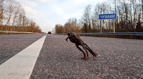 у 2 4 у 3 fet №.73 я 6 7 7 У 1% а и у tly и #4 as he 5 of a 2 wee on’ ane "7 a aS 6