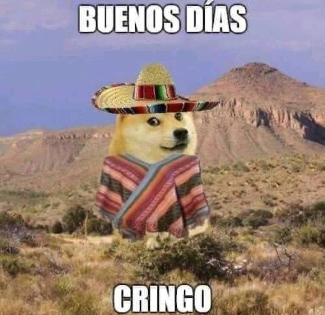 BUENOS DIAS CRINGO